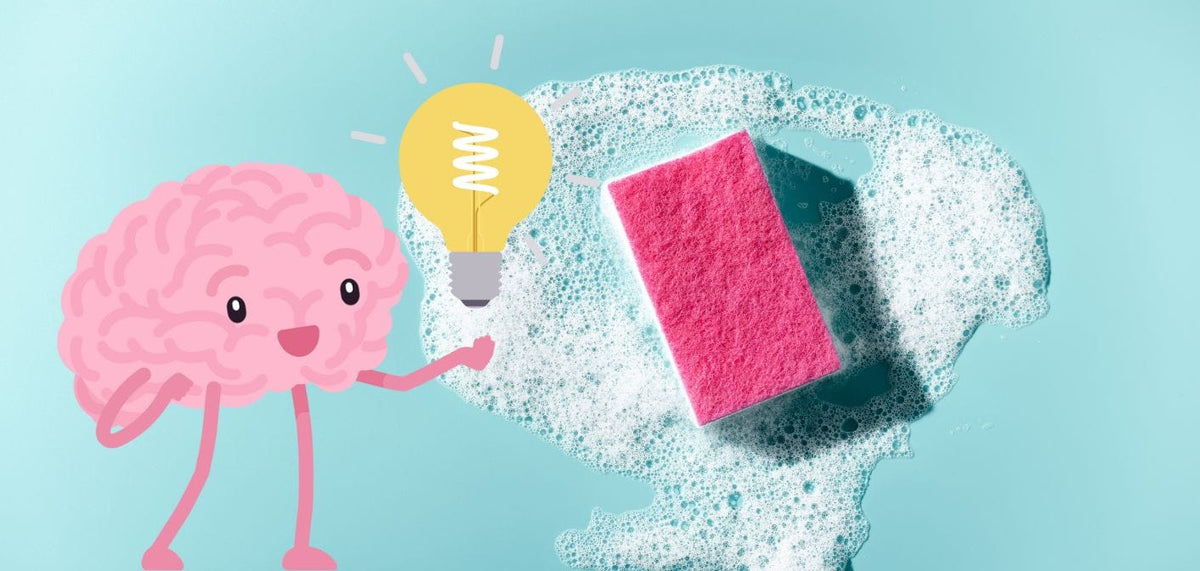 Cerveau avec éponge - Esprit absorbant