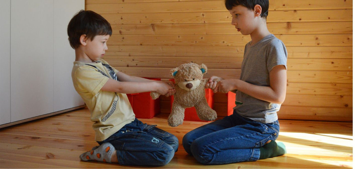Montessori et la Gestion des Conflits