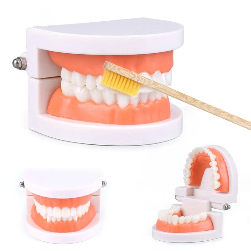 Smyles Dentier Montessori