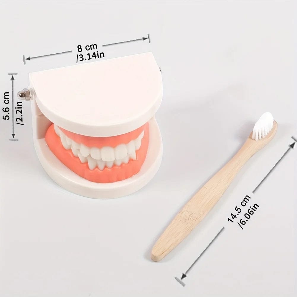 Smyles Dentier Montessori