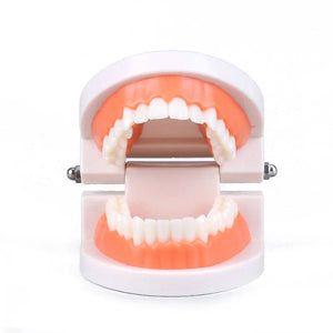 Smyles Dentier Montessori