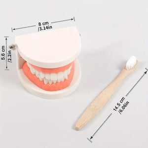 Smyles Dentier Montessori