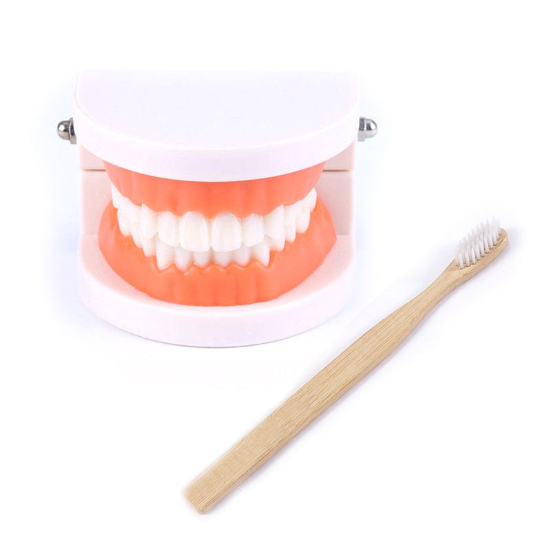 Smyles Dentier Montessori
