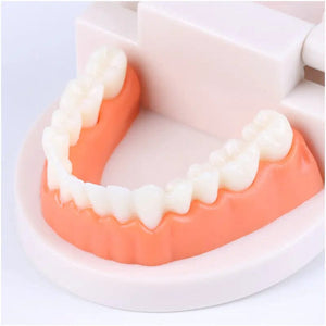 Smyles Dentier Montessori