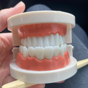 Smyles Dentier Montessori