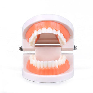 Smyles Dentier Montessori