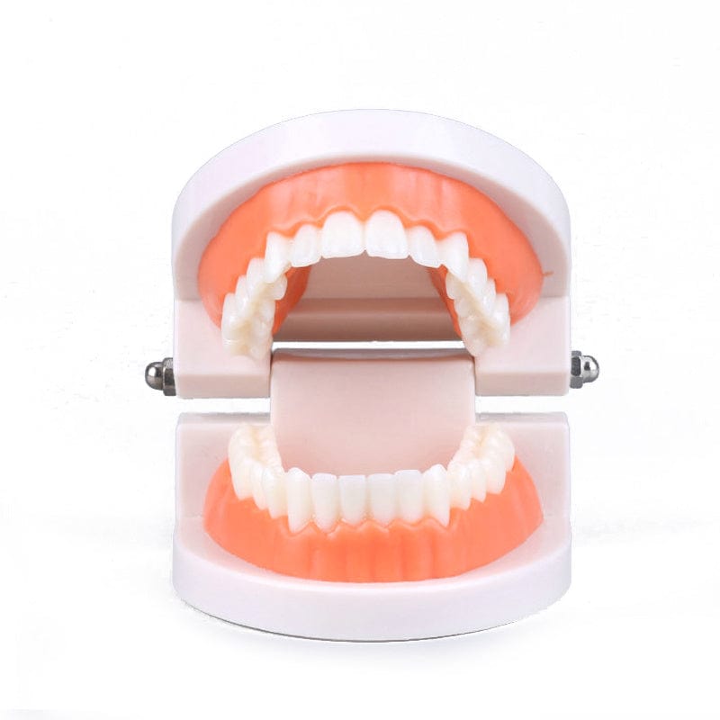 Smyles Dentier Montessori