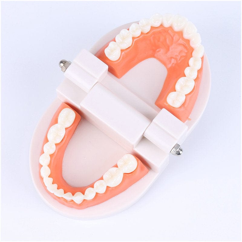 Smyles Dentier Montessori