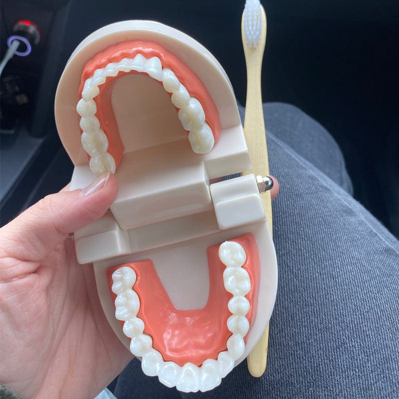 Smyles Dentier Montessori