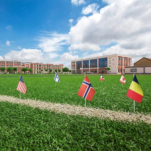 Smyles Drapeau Montessori