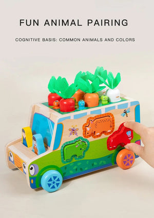 Smyles Jeu carottes Montessori