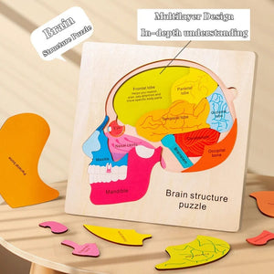 Smyles Puzzle corps humain Montessori