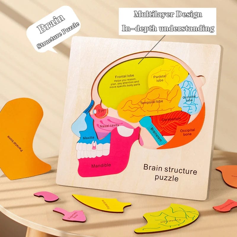 Smyles Puzzle corps humain Montessori