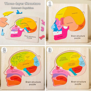 Smyles Puzzle corps humain Montessori