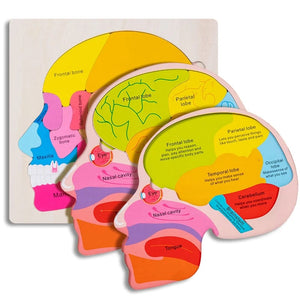 Smyles Puzzle corps humain Montessori