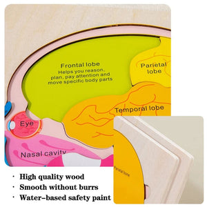 Smyles Puzzle corps humain Montessori