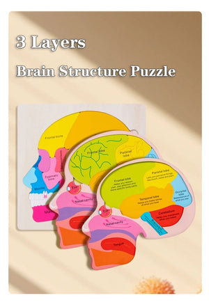 Smyles Puzzle corps humain Montessori