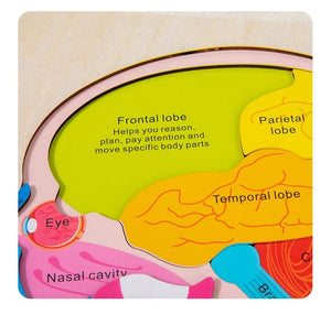 Smyles Puzzle corps humain Montessori