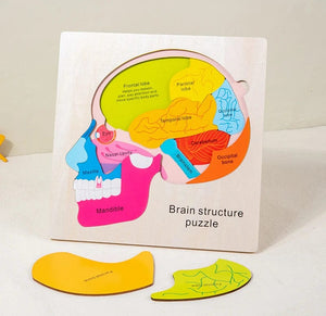 Smyles Puzzle corps humain Montessori