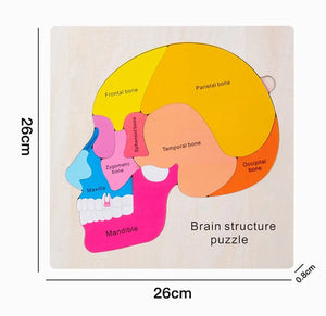 Smyles Puzzle corps humain Montessori