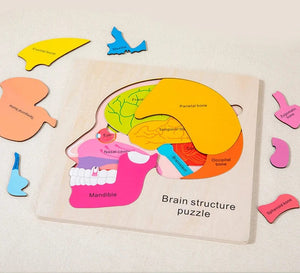 Smyles Puzzle corps humain Montessori