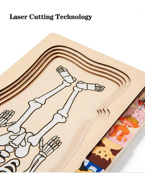 Smyles Puzzle corps humain Montessori