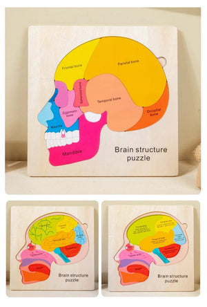 Smyles Puzzle corps humain Montessori