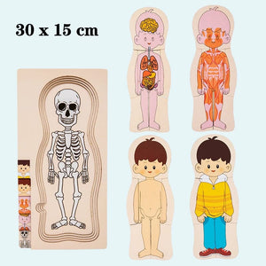 Smyles BZS00503 B Puzzle corps humain Montessori