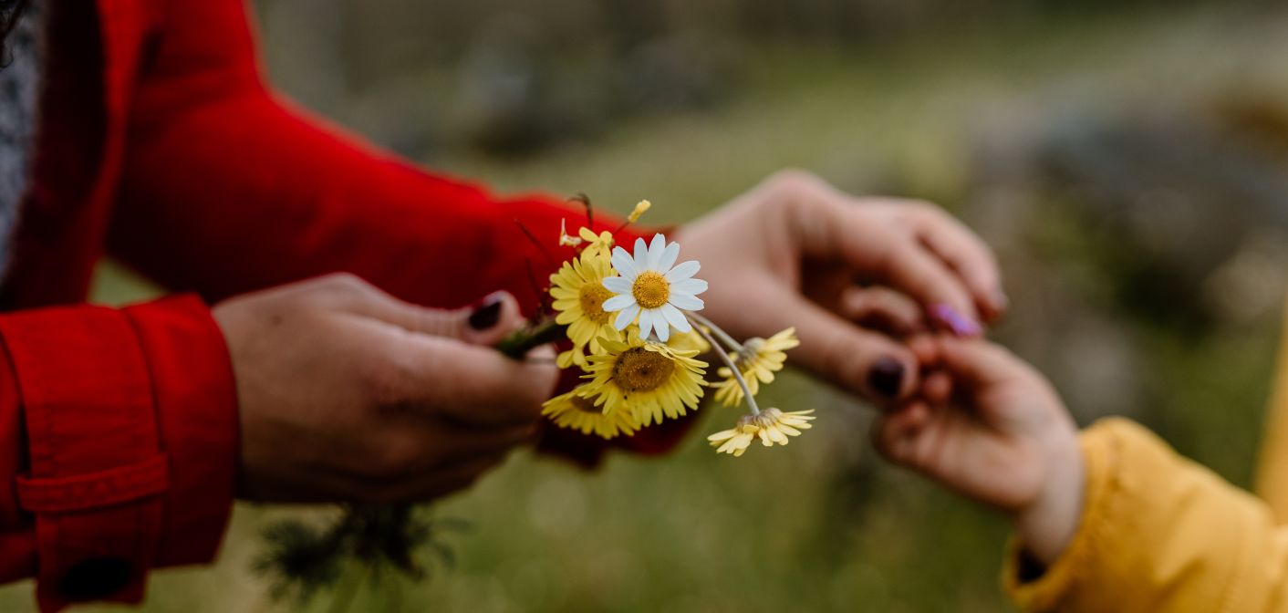 Montessori et Écologie : Éduquer à la Durabilité